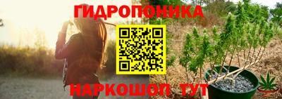 тгк Гусев