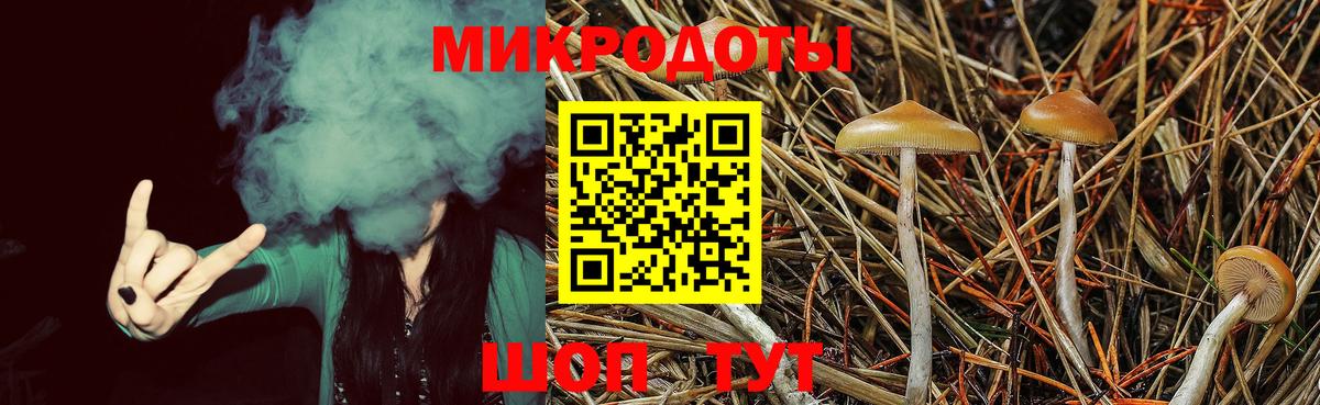 Псилоцибиновые грибы GOLDEN TEACHER  Вход с VPN  Карталы 