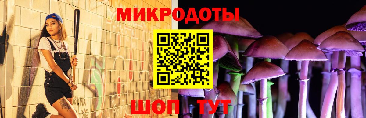 Галлюциногенные грибы Psilocybe Карталы